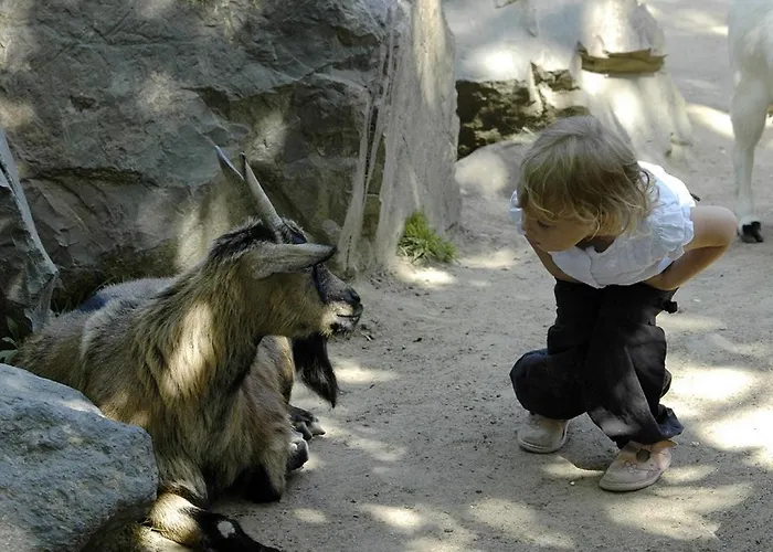T3 Avec Terrasse Et Garage A 300 M De La Plage, Quartier Arago - Fr-1-92-582 Appartement Les Sables-dʼOlonne