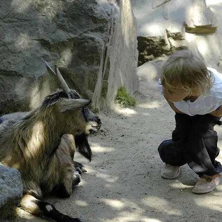 T3 Avec Terrasse Et Garage à 300 M De La Plage, Quartier Arago - Fr-1-92-582 Apartamento Les Sables-dʼOlonne